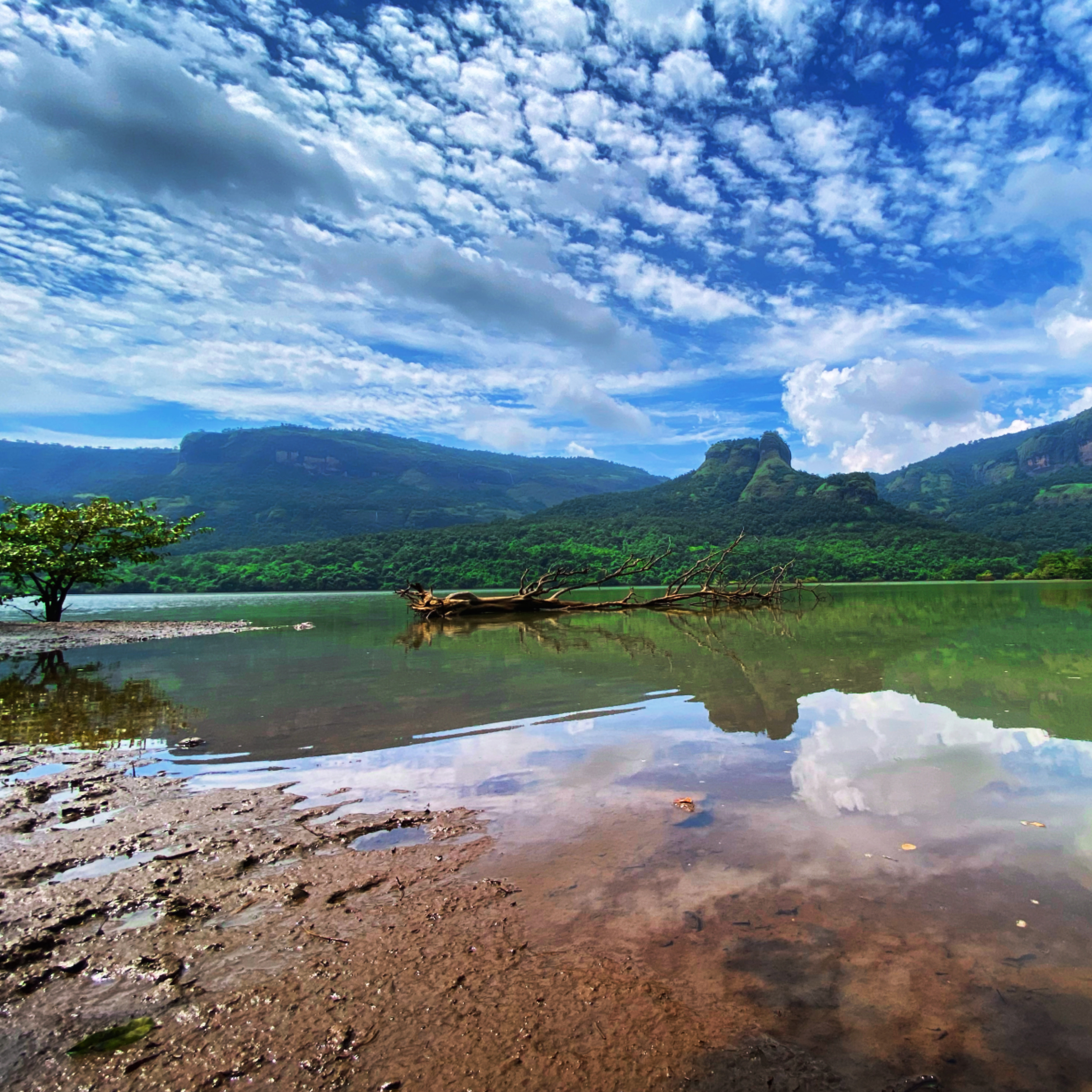 Landscape