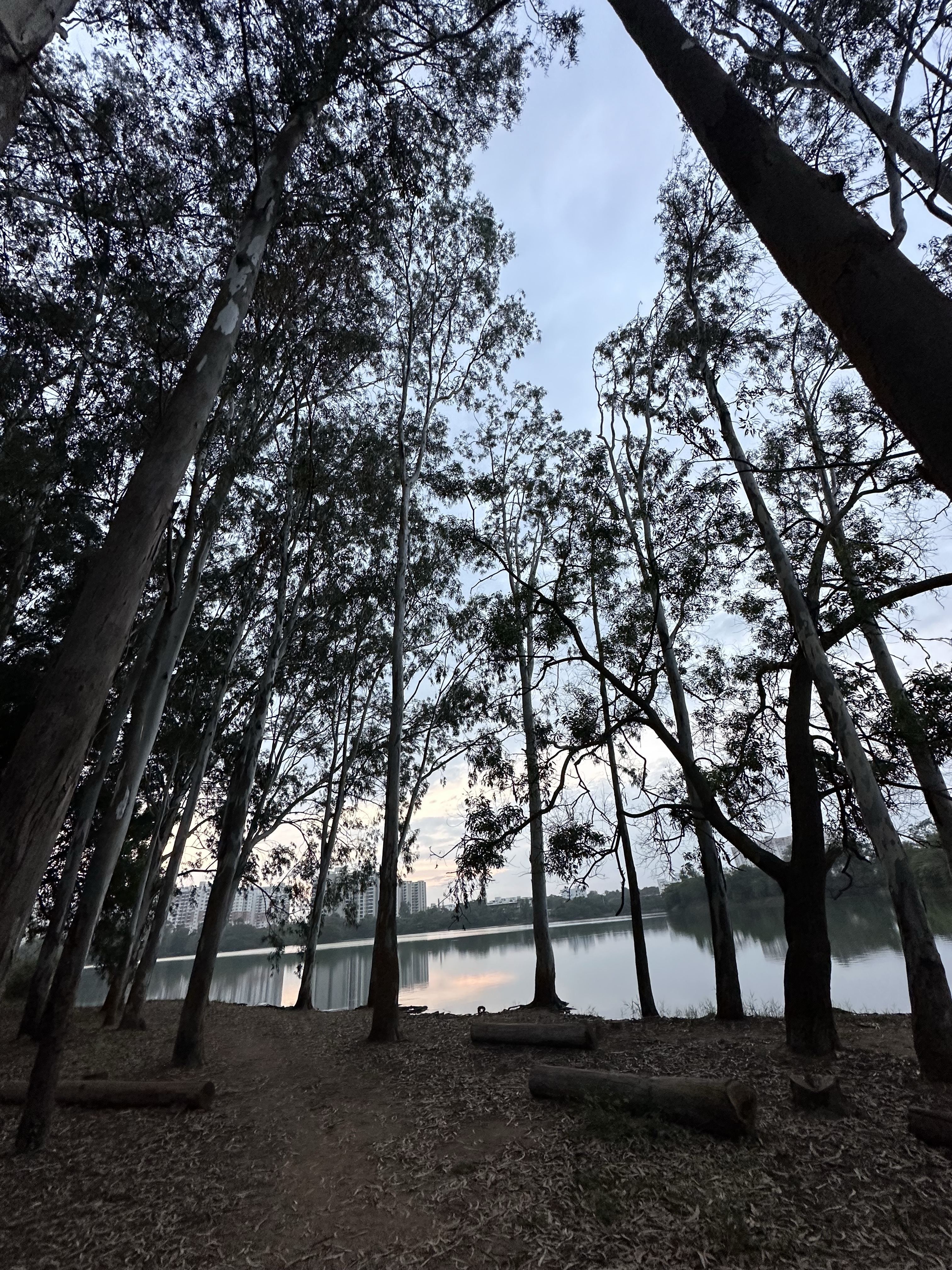 Calm evening