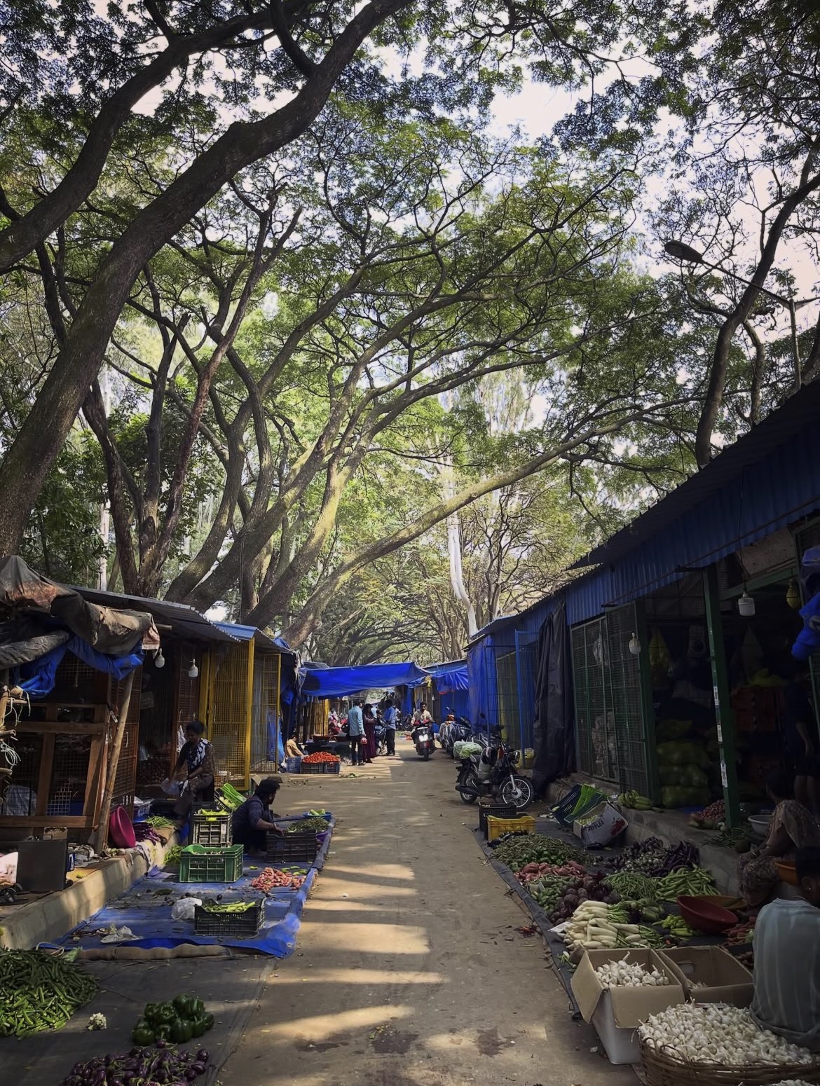 morning vegetable market