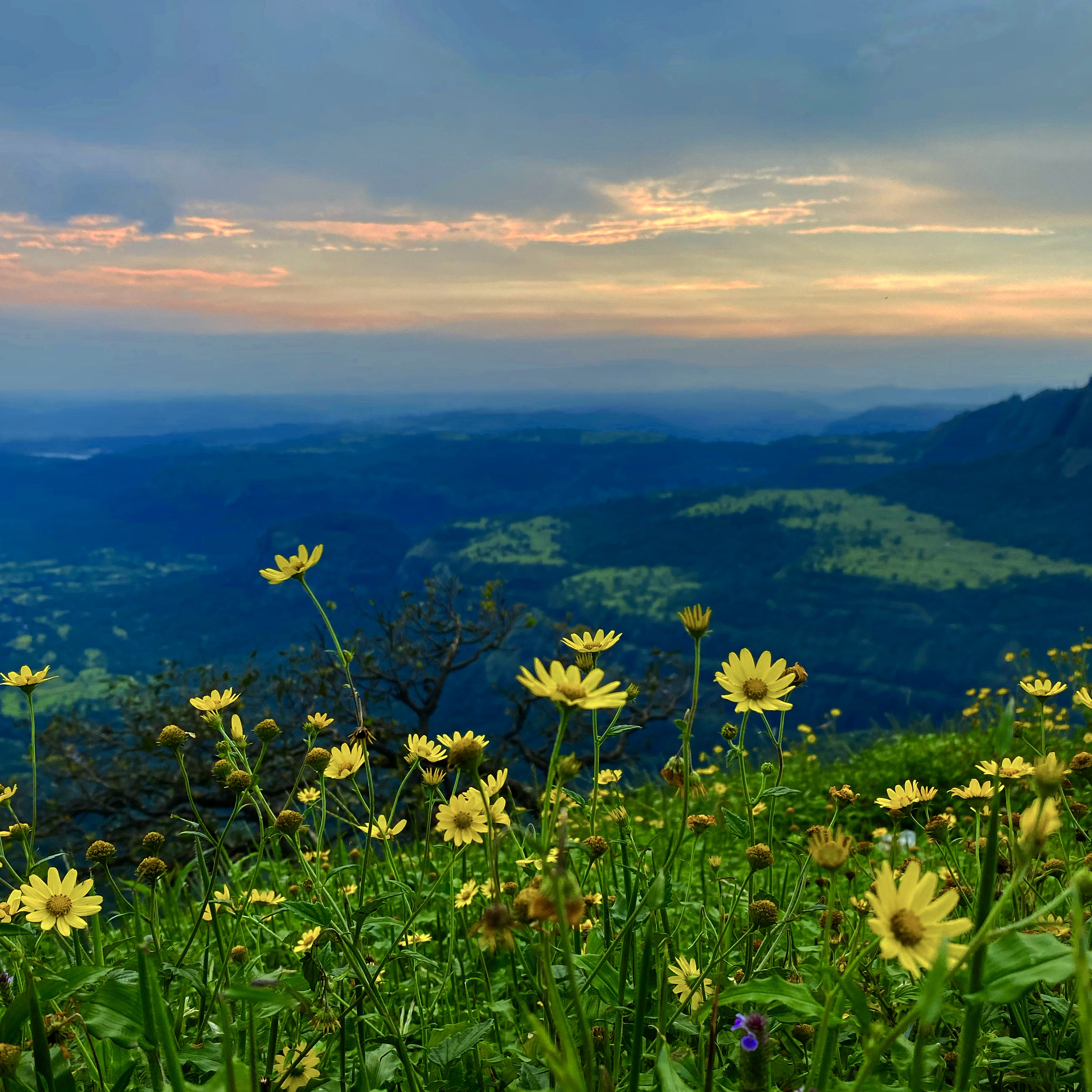 Natures gift