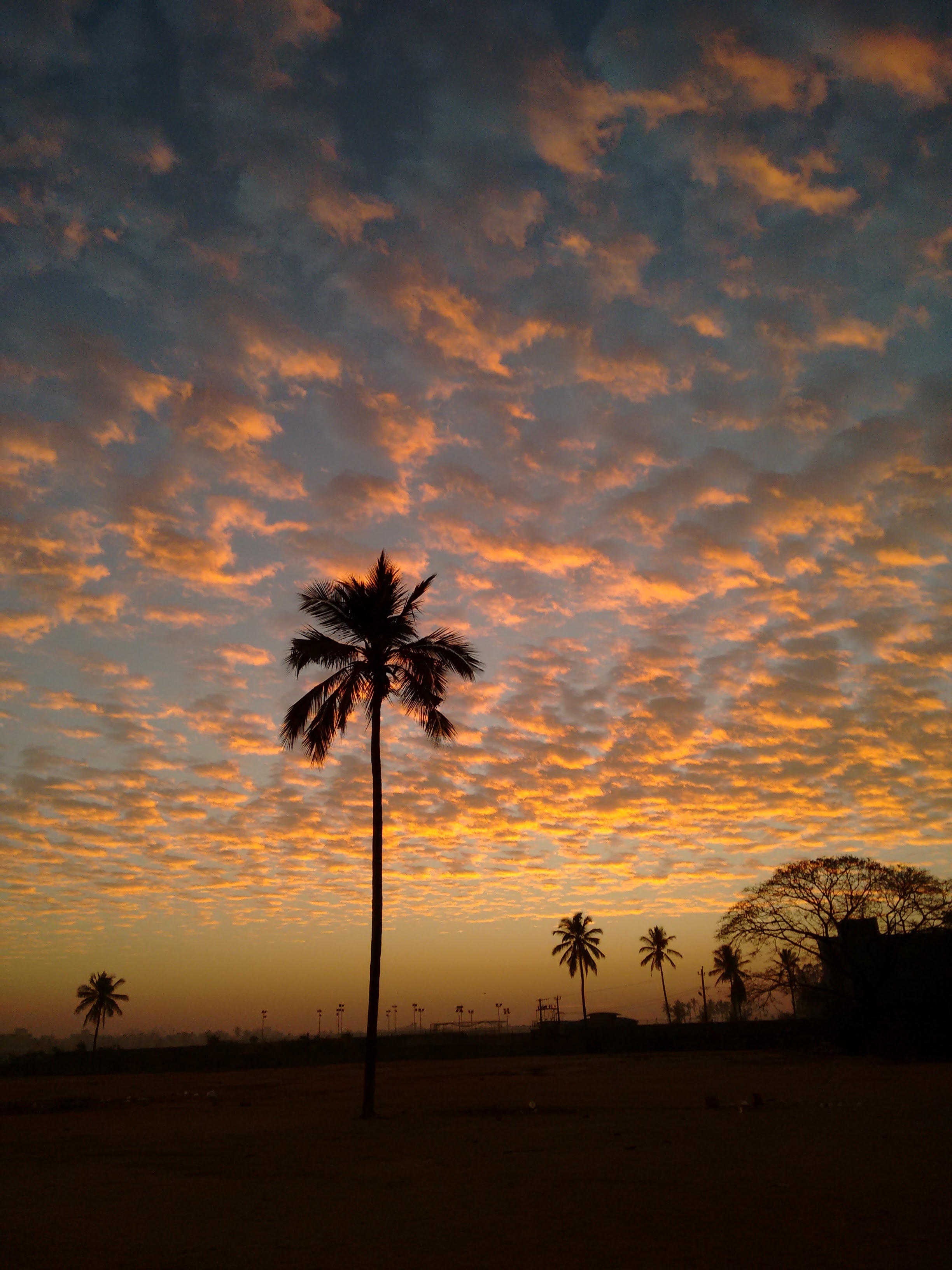 Nature’s art